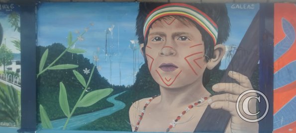 Mural on Av Francisco de Orellana near C. Bolivar (5)
