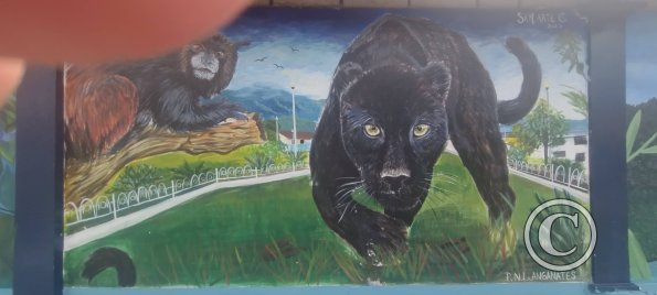 Mural on Av Francisco de Orellana near C. Bolivar (6)