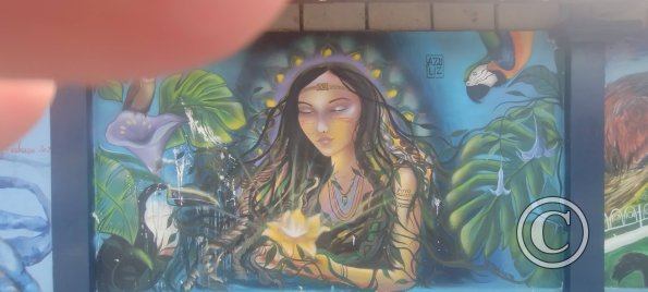 Mural on Av Francisco de Orellana near C. Bolivar (7)