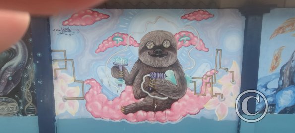 Mural on Av Francisco de Orellana near C. Bolivar (9)