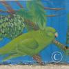 Mural on C. Bolivar near Av. Manabi (4)