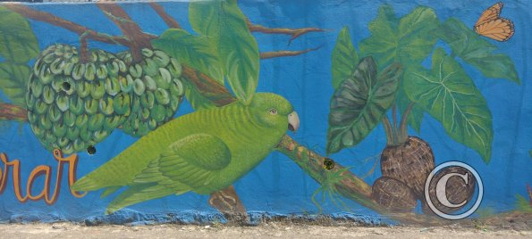 Mural on C. Bolivar near Av. Manabi (4)