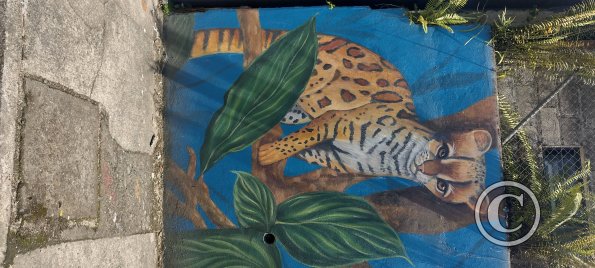 Mural on C. Bolivar near Av. Manabi