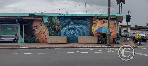 Mural on Ruta Panamericana near C Bolivar