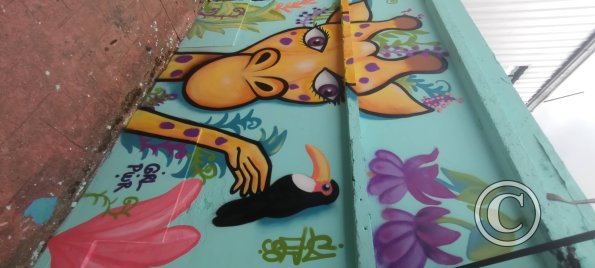 Mural on Ruta Panamericana near Citayacu (4)