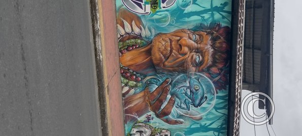 Mural on Ruta Panamericana near Citayacu (6)