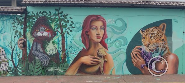 Mural on Ruta Panamericana near Citayacu (7)