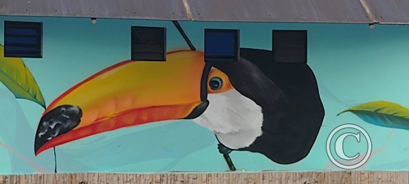 Mural on Ruta Panamericana near Citayacu (8)
