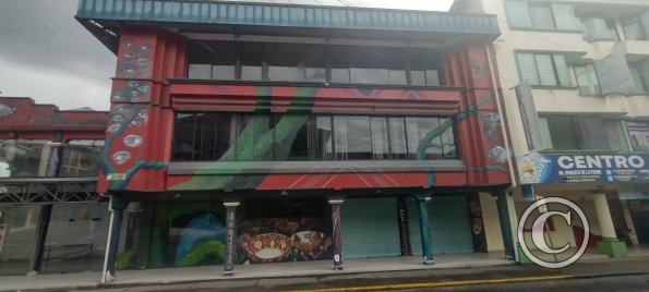Mural-covered building on C Bolivar at 27 de Febrero (2)