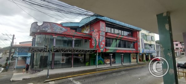 Mural-covered building on C Bolivar at 27 de Febrero