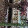Parque Acuatico (2)