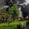 Parque Central at Calle Bolivar and C Diez de Agosto (2)