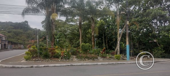 Paseo Miraflores at Luis Molina Celi and Augusto Naranjo