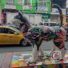 IMG_20221224_165547246_HDR