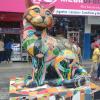 IMG_20221225_152052385