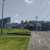 IMG_20221119_111010949_HDR