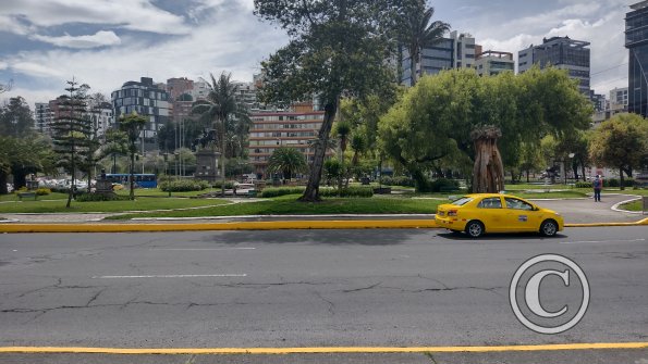 IMG_20221116_103355738_HDR