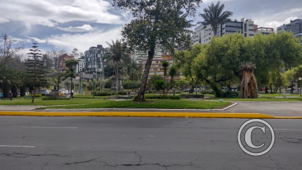 IMG_20221116_103424085_HDR