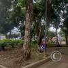 Parque Central at E45A and Las Amazonas (4)