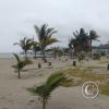 IMG_20221203_140003529