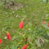 IMG_20221125_120501573