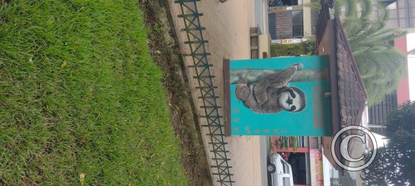Mural in Parque Central at Domingo Comin and Carlos Olson