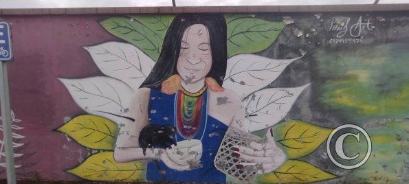 Mural in Parque del Nino at 8 de Diciembre (3)