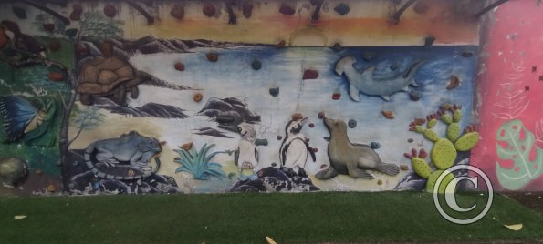 Mural in Parque del Nino at 8 de Diciembre (6)