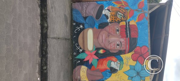 Mural on 12 de Febrero near Enrique Arizaga