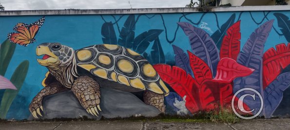Mural on 8 de Diciembre near Maria Troncatti (2)