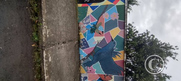 Mural on 8 de Diciembre near Maria Troncatti (3)