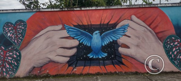 Mural on 8 de Diciembre near Maria Troncatti