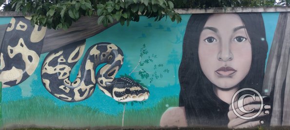 Mural on Maria Troncatti near 8 de Diciembre (6)