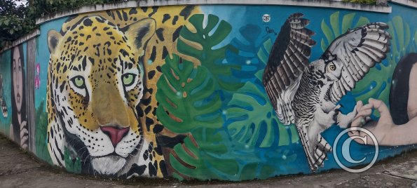Mural on Maria Troncatti near 8 de Diciembre (7)