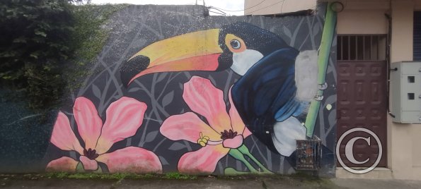 Mural on Pastor Bernal near Domingo Comin (2)