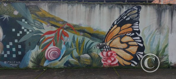 Mural on Vitorino Abarca near Enrique Arizaga (4)