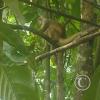 IMG_20230911_153054794
