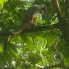 IMG_20230911_153430753