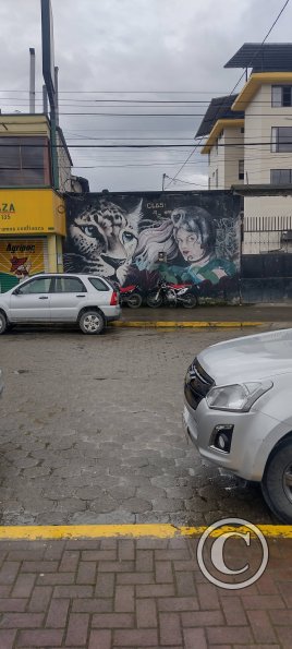 Mural across from Parque Central on Armando Arias