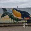 Mural on Armando Arias near Machinatza