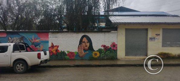 Mural on E45 Panamericana near 10 de Noviembre (2)