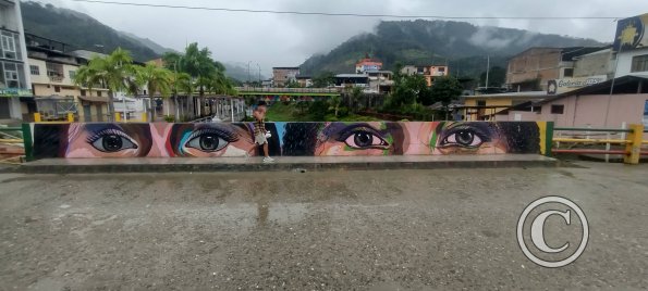 Murals on the E45 Panamericana bridge over the creek (2)