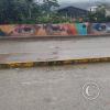 Murals on the E45 Panamericana bridge over the creek