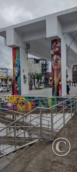 Parque Central (4)