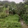 Quebrada (Creek) Yantzaza (2)