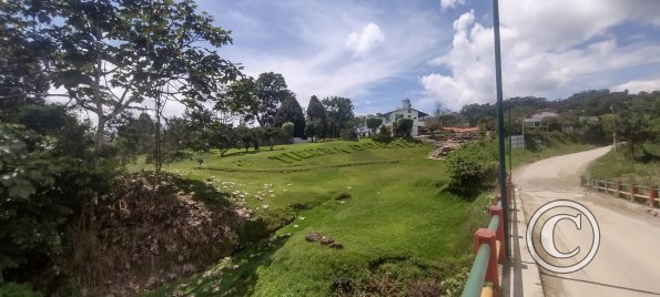 View from the Puente Pullaguari