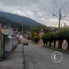 IMG_20230904_181416883_HDR