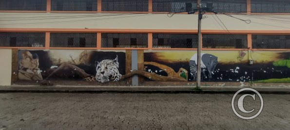 Mural on Av. Amazonas near Francisco de Orellana