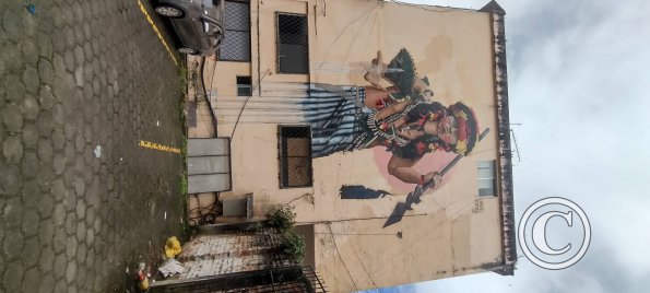 Mural on Diego de Vaca across from Parque Central