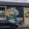 Murals on Av. del Maestro near Francisco de Orellana (2)